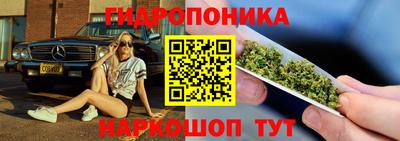 соль ск Гусев