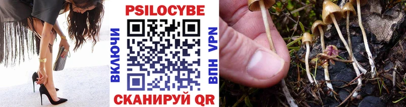 Псилоцибиновые грибы Cubensis  Воскресенск 