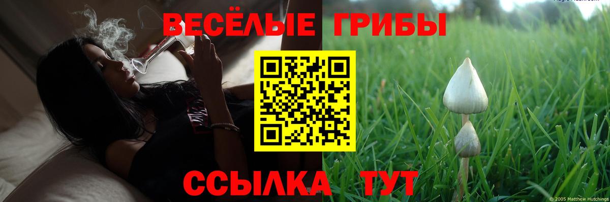 Воскресенск  Галлюциногенные грибы Cubensis  Вход с VPN 